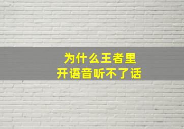 为什么王者里开语音听不了话