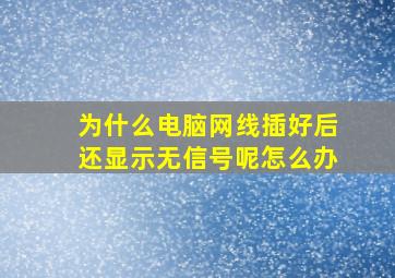 为什么电脑网线插好后还显示无信号呢怎么办