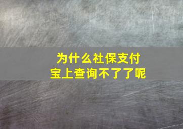 为什么社保支付宝上查询不了了呢