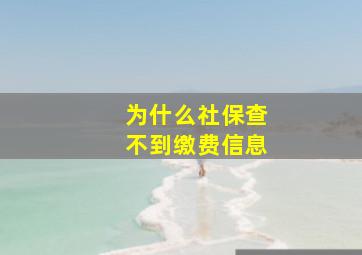 为什么社保查不到缴费信息