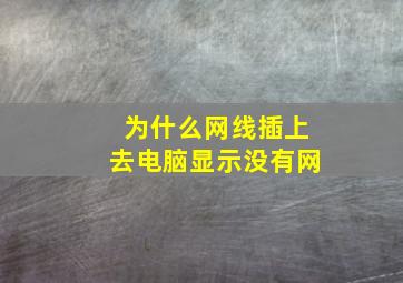 为什么网线插上去电脑显示没有网