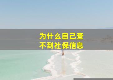 为什么自己查不到社保信息