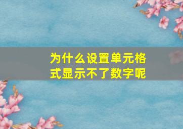 为什么设置单元格式显示不了数字呢