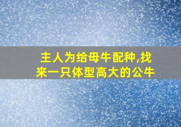 主人为给母牛配种,找来一只体型高大的公牛