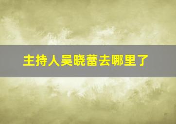 主持人吴晓蕾去哪里了