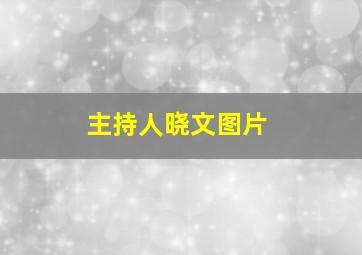 主持人晓文图片