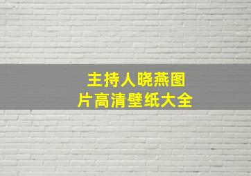 主持人晓燕图片高清壁纸大全