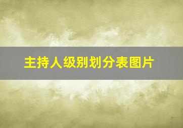 主持人级别划分表图片