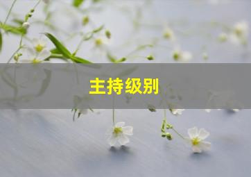 主持级别