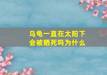 乌龟一直在太阳下会被晒死吗为什么