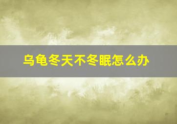 乌龟冬天不冬眠怎么办