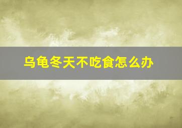 乌龟冬天不吃食怎么办