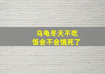 乌龟冬天不吃饭会不会饿死了