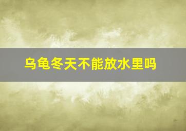 乌龟冬天不能放水里吗