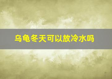 乌龟冬天可以放冷水吗