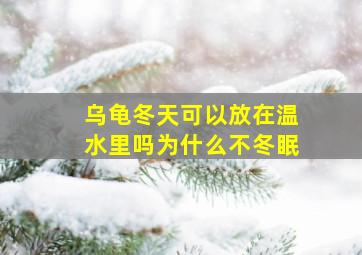 乌龟冬天可以放在温水里吗为什么不冬眠