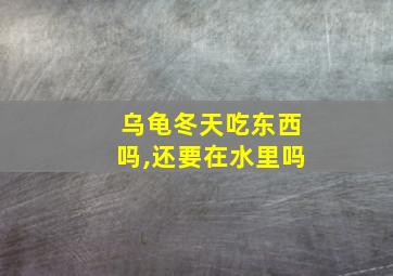 乌龟冬天吃东西吗,还要在水里吗