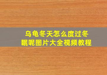 乌龟冬天怎么度过冬眠呢图片大全视频教程