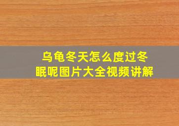 乌龟冬天怎么度过冬眠呢图片大全视频讲解