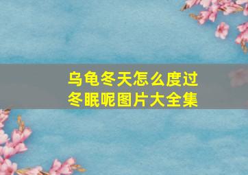 乌龟冬天怎么度过冬眠呢图片大全集