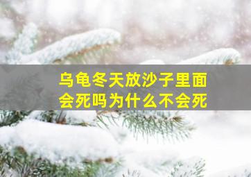 乌龟冬天放沙子里面会死吗为什么不会死