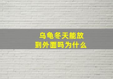 乌龟冬天能放到外面吗为什么