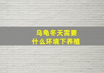 乌龟冬天需要什么环境下养殖