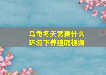 乌龟冬天需要什么环境下养殖呢视频