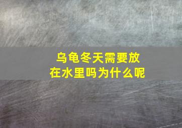 乌龟冬天需要放在水里吗为什么呢