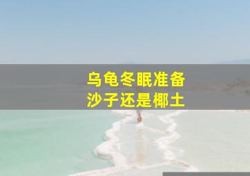 乌龟冬眠准备沙子还是椰土