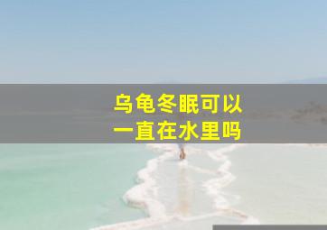 乌龟冬眠可以一直在水里吗