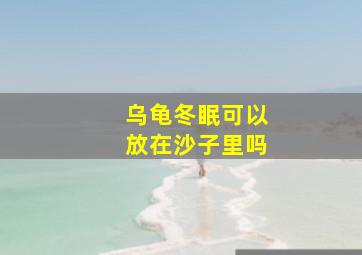 乌龟冬眠可以放在沙子里吗