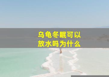 乌龟冬眠可以放水吗为什么