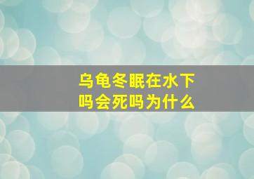 乌龟冬眠在水下吗会死吗为什么