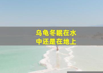 乌龟冬眠在水中还是在地上