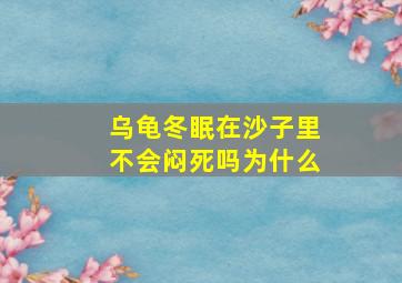 乌龟冬眠在沙子里不会闷死吗为什么