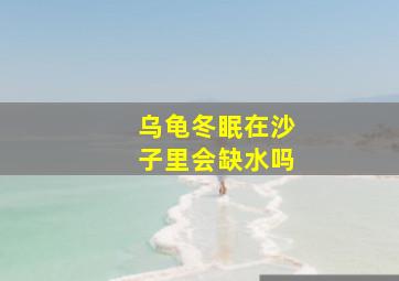 乌龟冬眠在沙子里会缺水吗