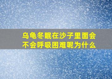 乌龟冬眠在沙子里面会不会呼吸困难呢为什么