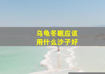 乌龟冬眠应该用什么沙子好