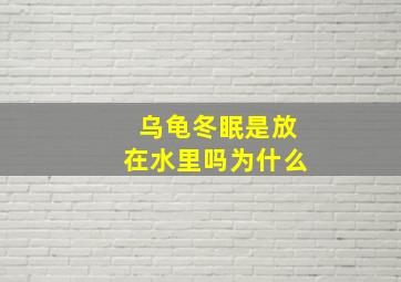 乌龟冬眠是放在水里吗为什么