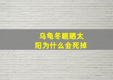 乌龟冬眠晒太阳为什么会死掉