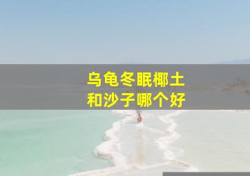 乌龟冬眠椰土和沙子哪个好