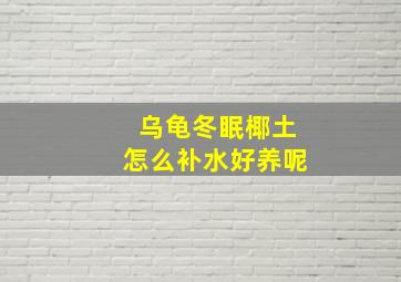 乌龟冬眠椰土怎么补水好养呢