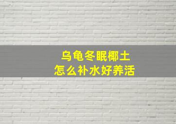 乌龟冬眠椰土怎么补水好养活