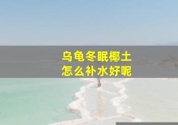 乌龟冬眠椰土怎么补水好呢