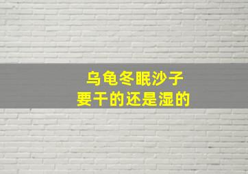 乌龟冬眠沙子要干的还是湿的