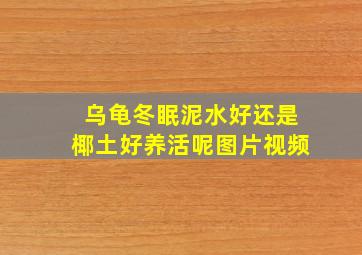 乌龟冬眠泥水好还是椰土好养活呢图片视频