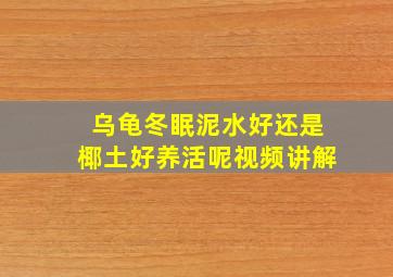 乌龟冬眠泥水好还是椰土好养活呢视频讲解