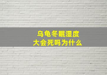 乌龟冬眠湿度大会死吗为什么