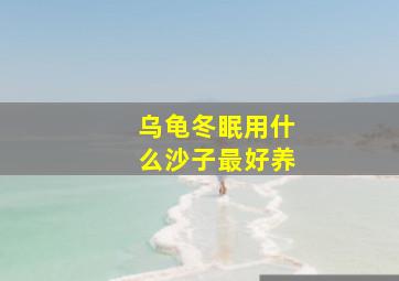 乌龟冬眠用什么沙子最好养